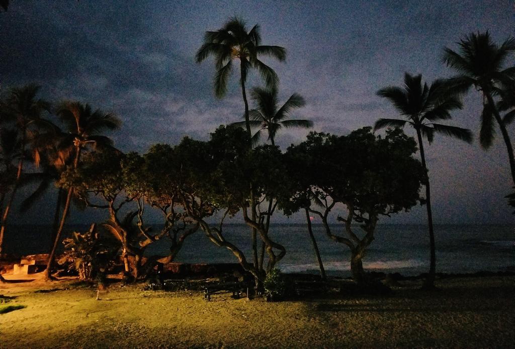 Kona Magic Honu Room Kailua-Kona Bagian luar foto